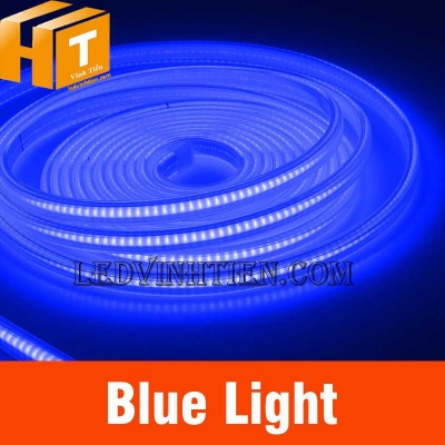 Đèn led dây COB 220V màu xanh dương