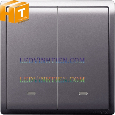 Công tắc tạm thời 10A 2 gang schneider