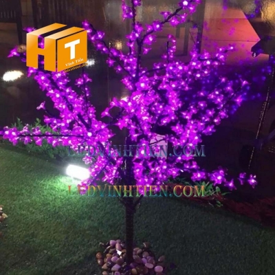 Hoa mai đèn led 4m màu tím
