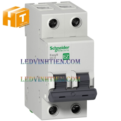 CB Schneider MCB EASY9 2P 10A