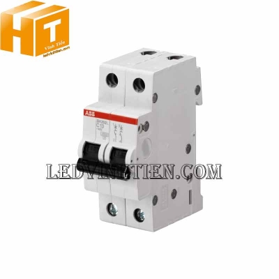 CB MCB 2P 63A SH202-C63 ABB