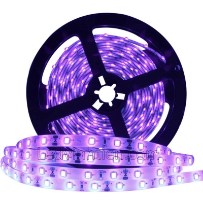 Đèn Led Dây 5054 Màu Tím