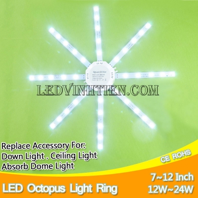 Led vòng 20w