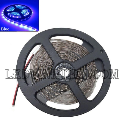 Led dây 24V 5050 xanh dương
