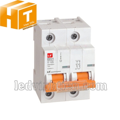 Aptomat LS MCB 2P 125A 6kA