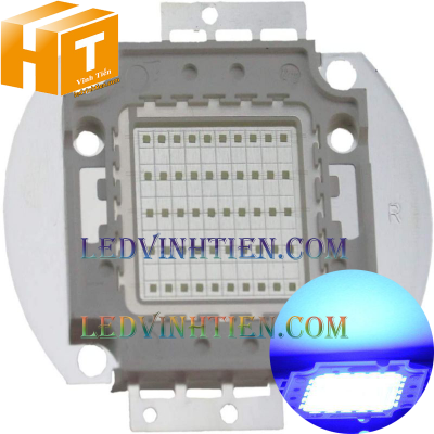 Tim đèn pha 30w xanh dương