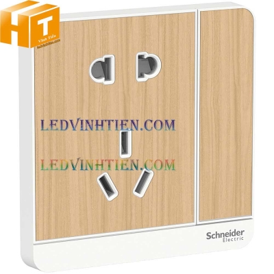 Ổ cắm chuyển mạch E8315_2_10US_LW_C1 Schneider